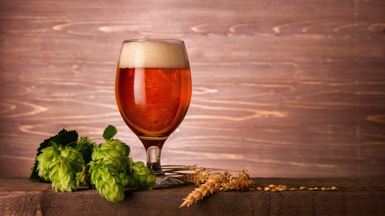 Green hops and a goblet of red beer