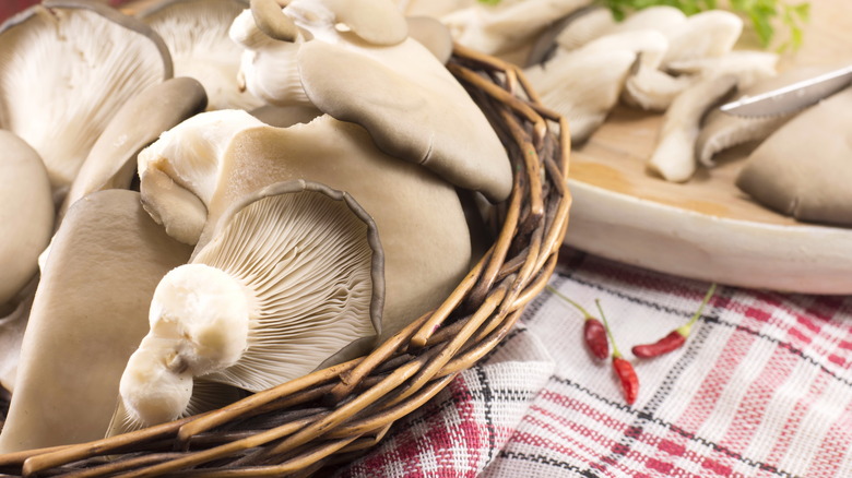 Basket of oyster mushrooms