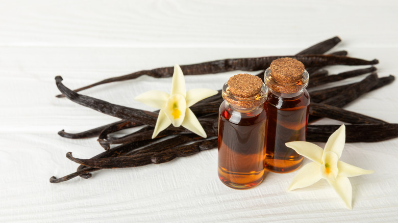 Two bottles of vanilla extract with vanilla beans behind them and vanilla flowers beside them