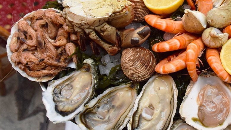 shellfish tower at le dome in paris
