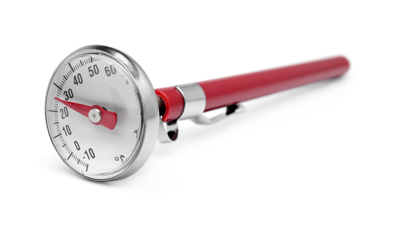 meat thermometer