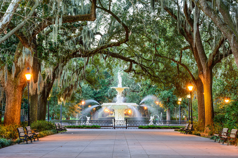 Georgia: Savannah