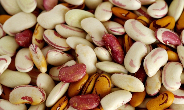 beans