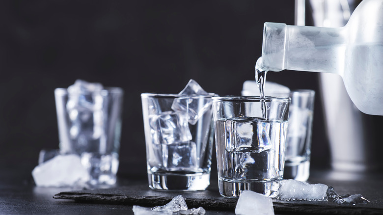 Pouring shots of vodka