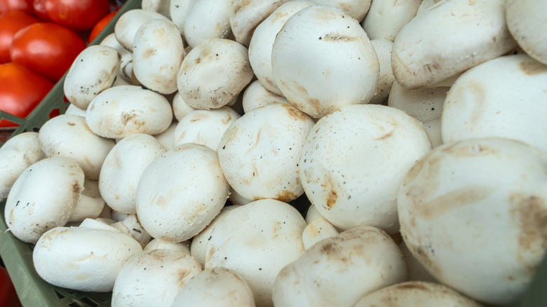 Close up of fresh button mushrooms