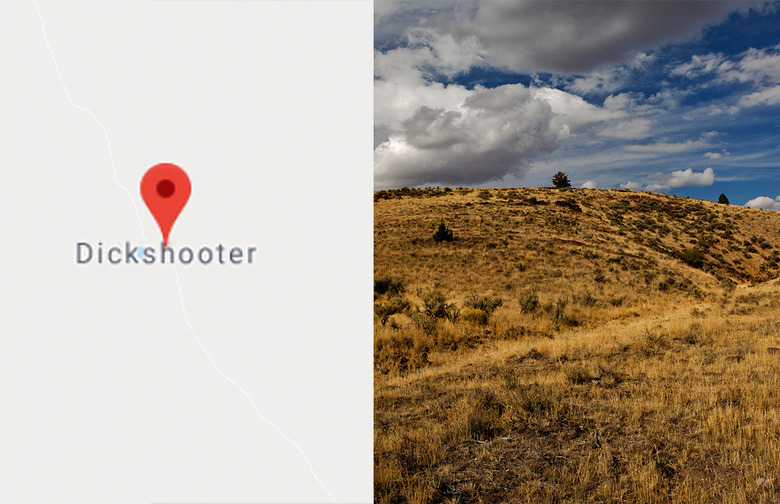 Idaho: Dickshooter
