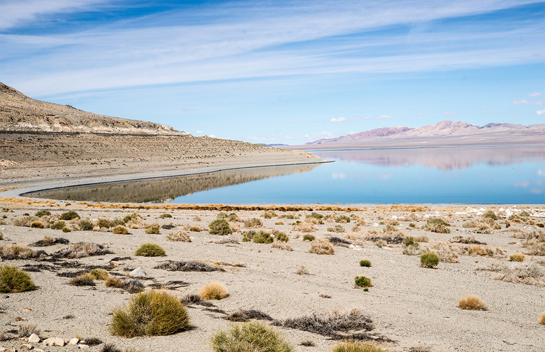 Nevada: Lucky Boy