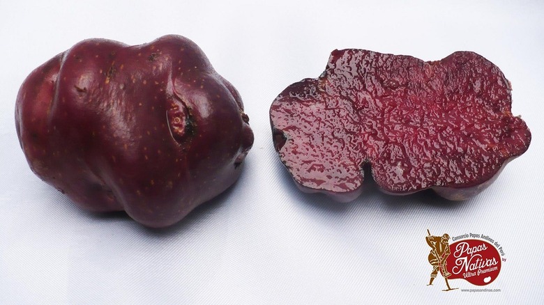 Retail image of yawar potato