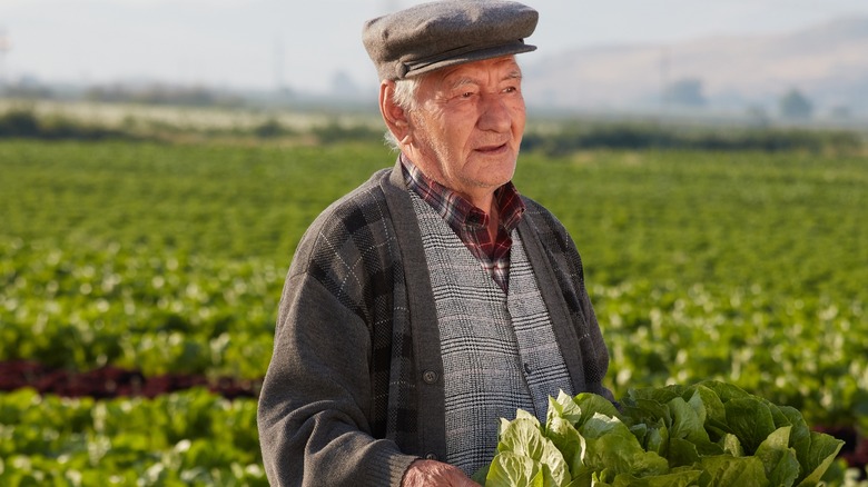 European farmer in fields