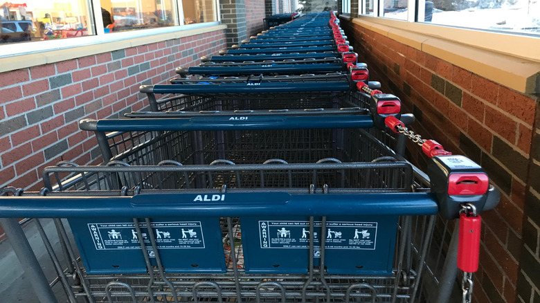 Aldi shopping carts