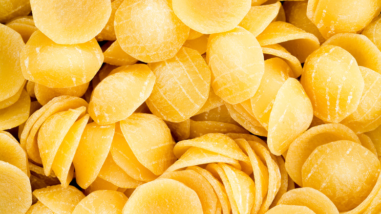 Close up of bronze cut orecchiette