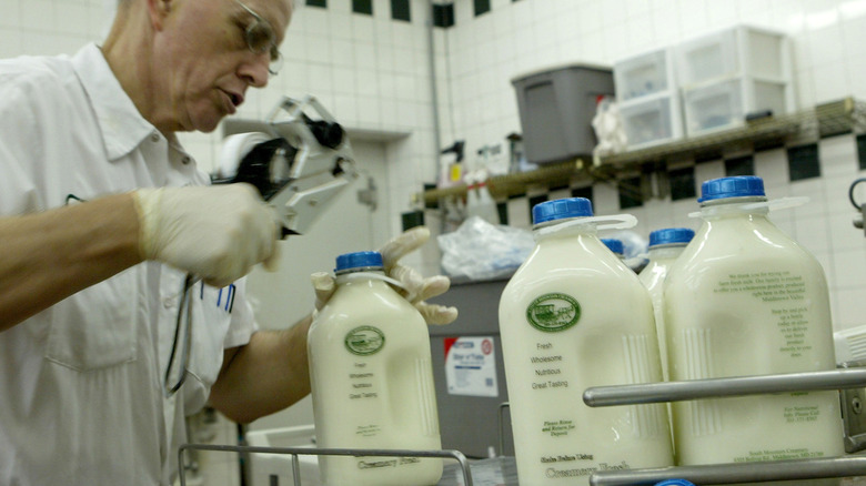 old man working at creamery