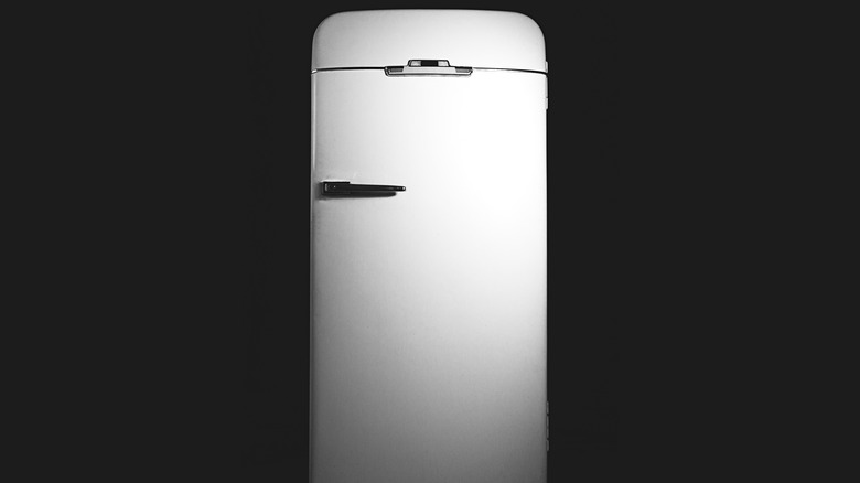 vintage refrigerator stands tall