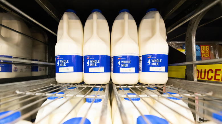 rack of grocery store milk
