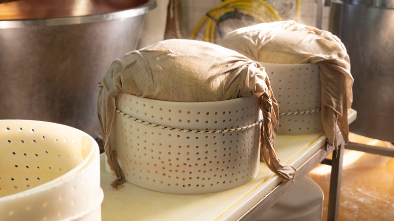 cheese in round molds
