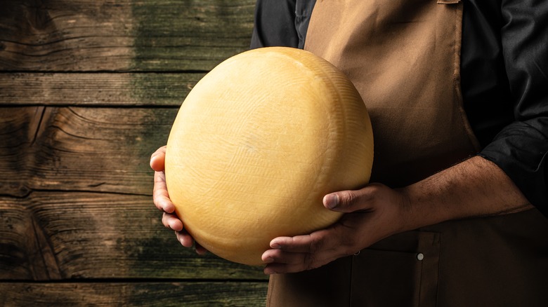 hands holding wheel of cheese