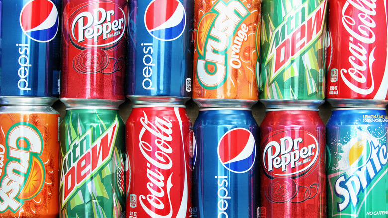 Cans of different brands of soda lined up together