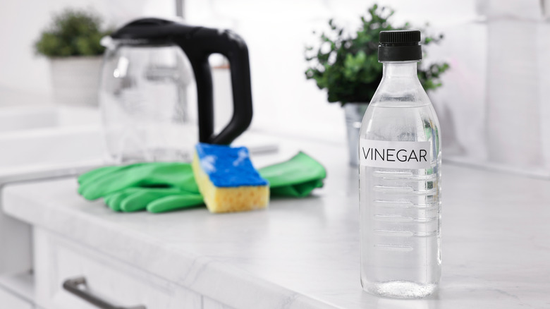 Vinegar bottle on kitchen countertop with unfocused coffee carafe, green gloves, and sponge in the background