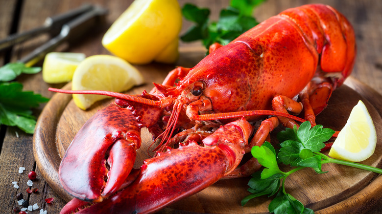 cooked whole lobster