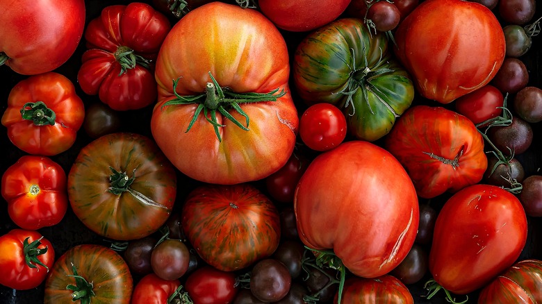 assorted tomatoes