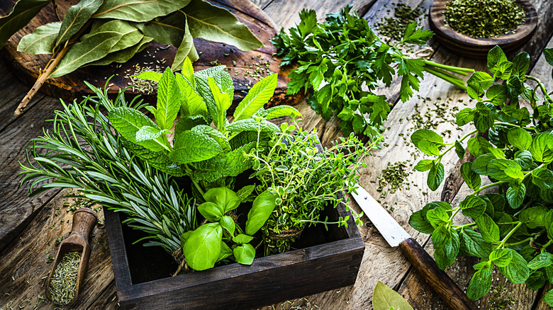 Fresh herbs on a wooden table