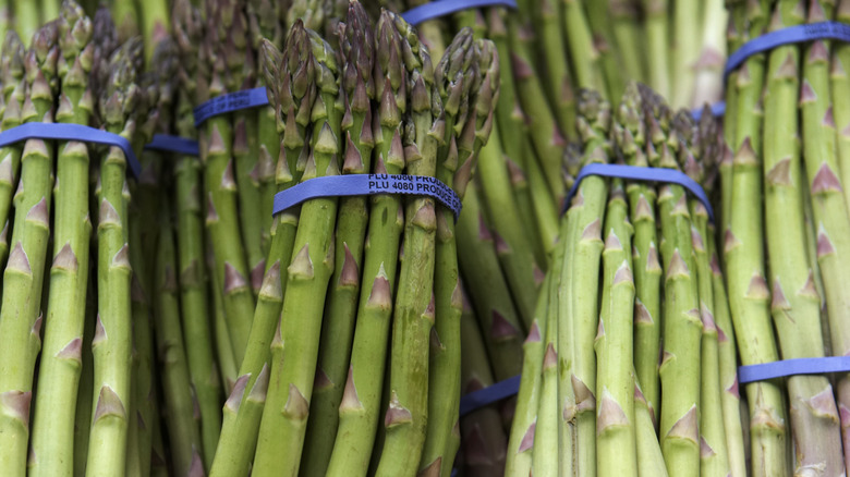 Asparagus bundles