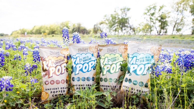 Ka-Pop bags standing in lavender field