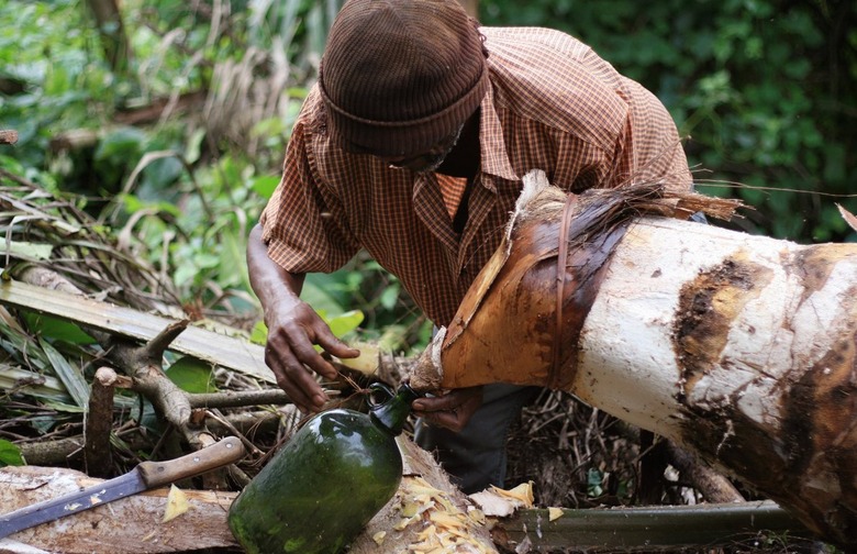 Nigeria: Palm Wine
