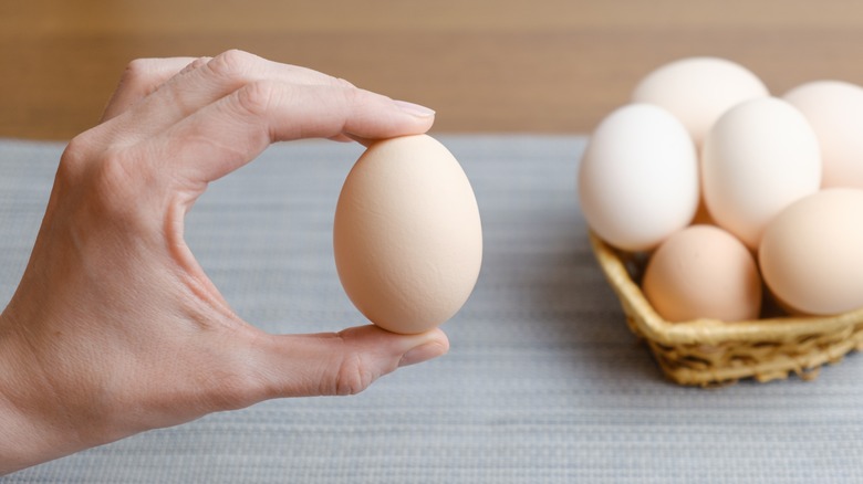 hand holding egg