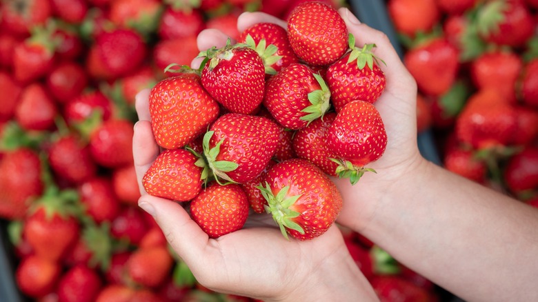hands holding strawberries