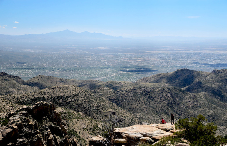 Willow Canyon, Ariz.   1