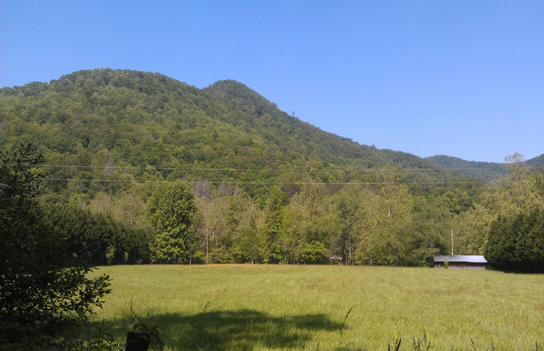 Tate City, Ga.		16