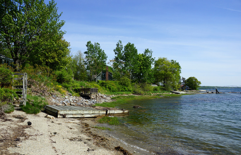 Littlejohn Island, Maine	118