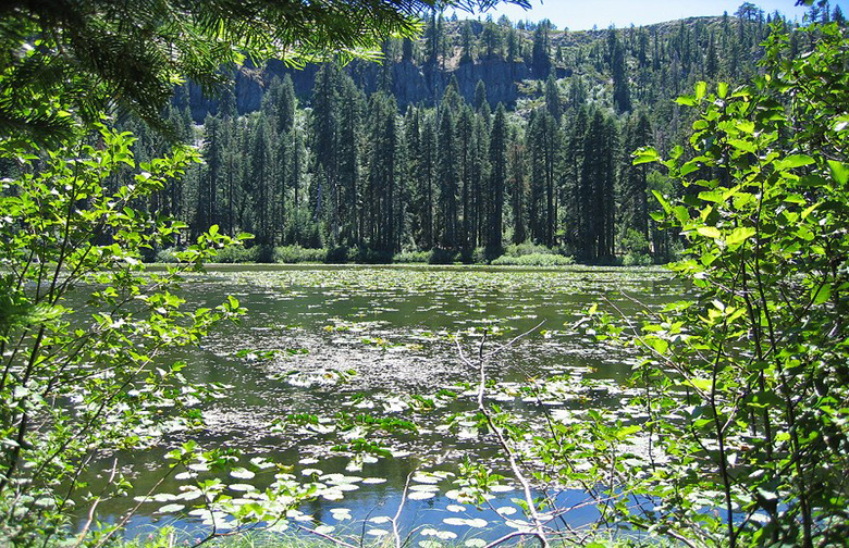 Little Grass Valley, Calif.		2