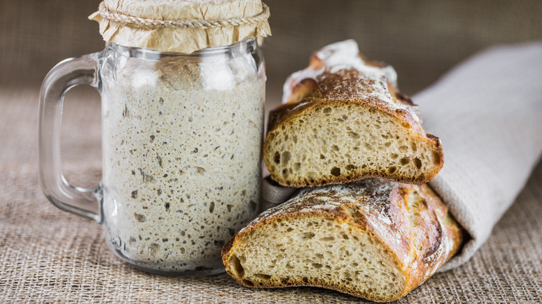 Sourdough starter and two loaves
