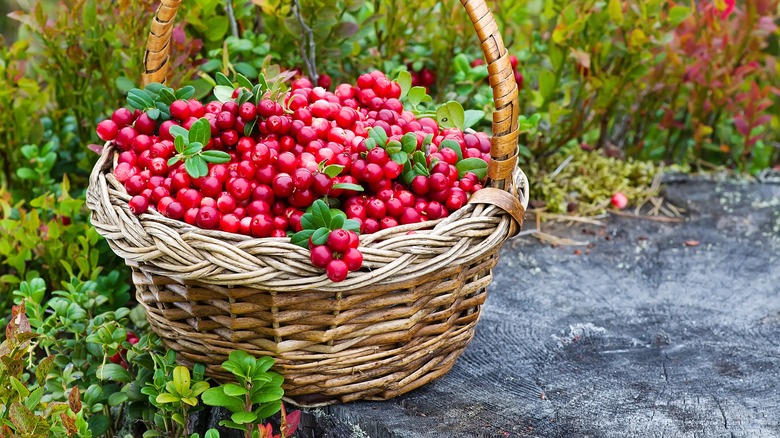 Cranberries in a basket 