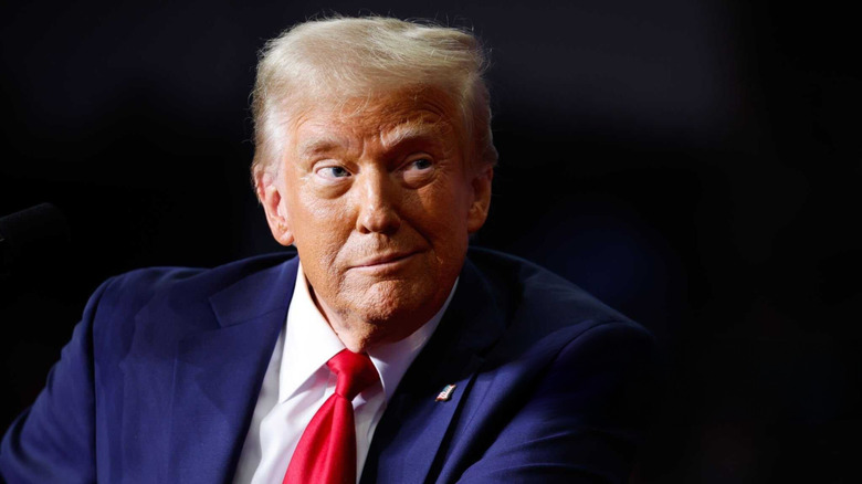 Donald Trump in blue suit smirking