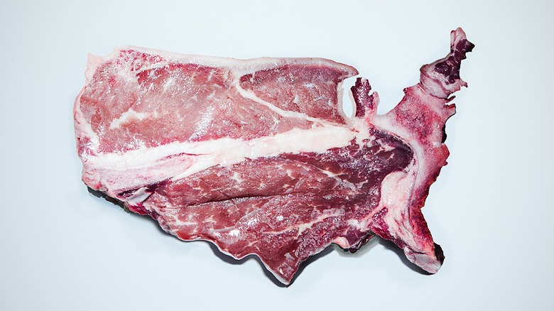 Raw T-bone steak in the shape of the United States