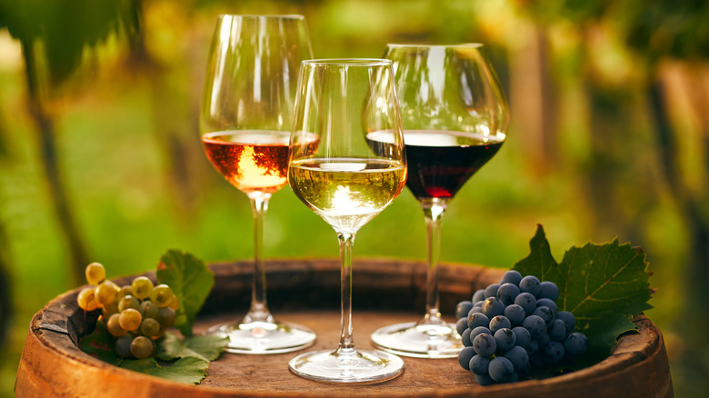 Wine glasses with wines