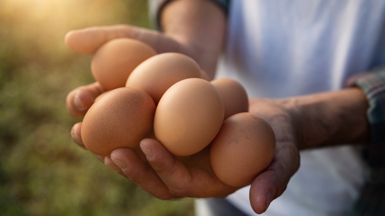 holding a handful of farm fresh eggs