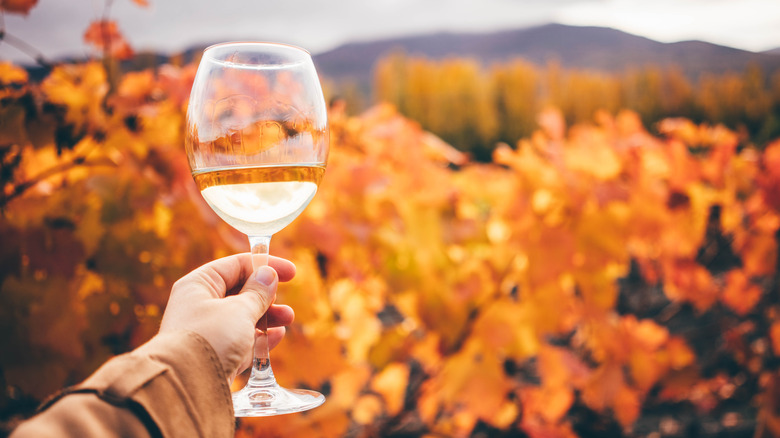 Wine glass in vineyard