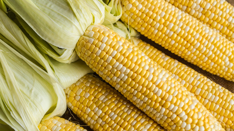 Corn on the cob
