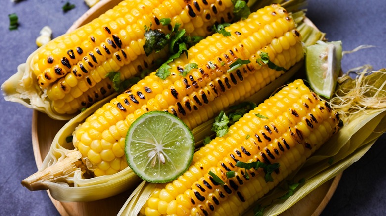 Corn on the cob with husk 