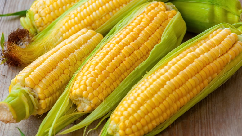 Corn in husks 