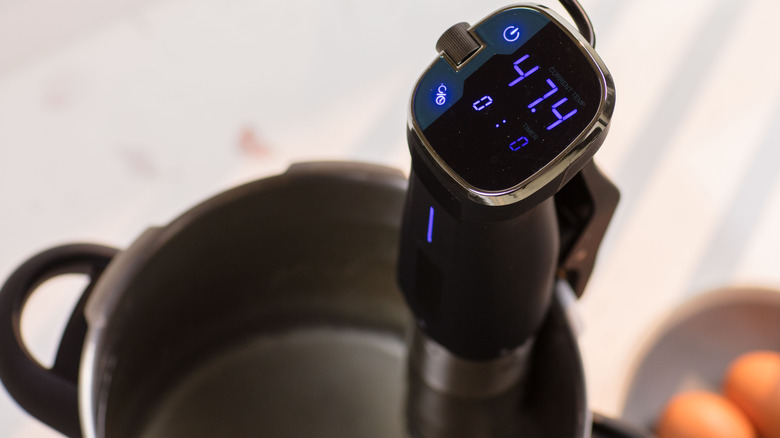 Immersion circulator in pot of water with eggs sitting nearby