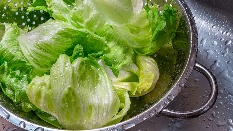 Wet lettuce in a colander