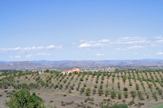 22) Seven Quails Vineyards Bed & Breakfast, Paso Robles, Calif.