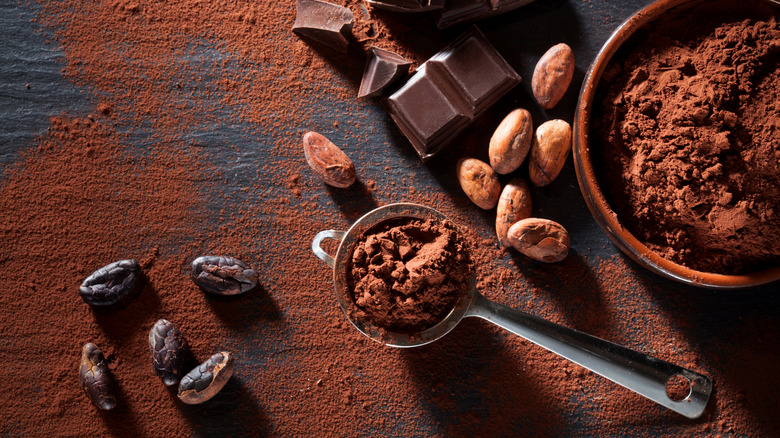 cocoa powder beside cocoa beans