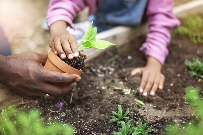 For the person with a green thumb