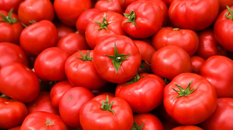 Freshly picked tomatoes